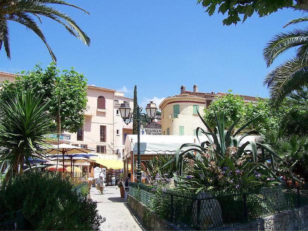 183 D36 LE LAVANDOU_000055.jpg